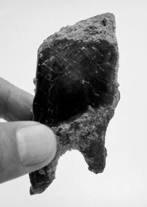 Fossile d'écailles de poisson du Crétacé