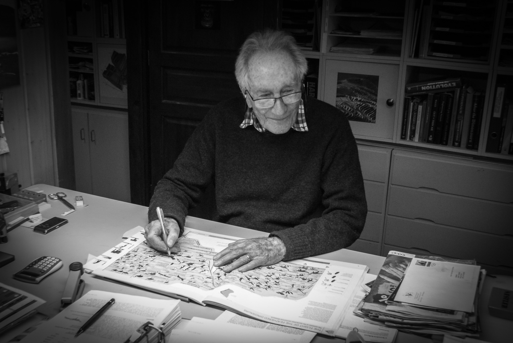 Arthur Escher, géologue