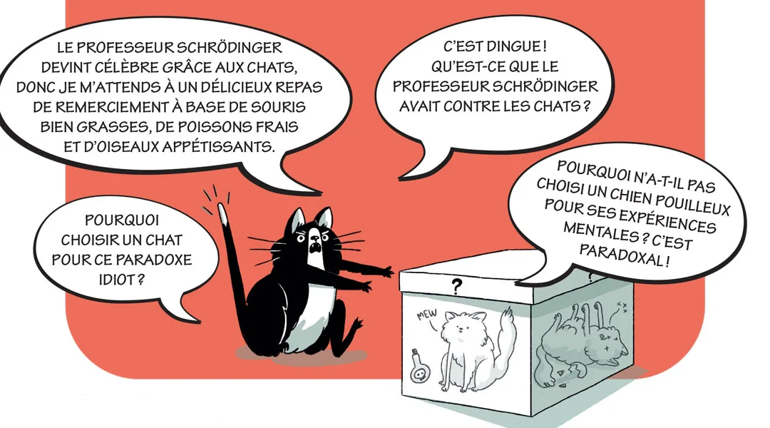 Quésaco: qu’est-ce que le paradoxe du «chat zombie» de Schrödinger?