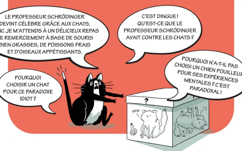 Quésaco: qu’est-ce que le paradoxe du «chat zombie» de Schrödinger?