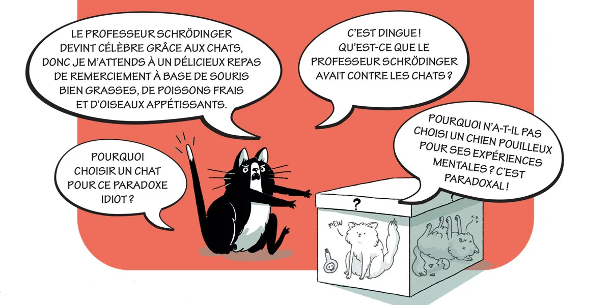 Illustration sur le chat de Schrödinger de Claudia Flandoli