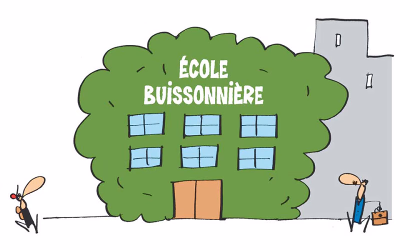 La culture du bâti: (ré)apprendre à construire et à habiter la ville