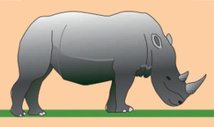 Illustration de rhinocéros